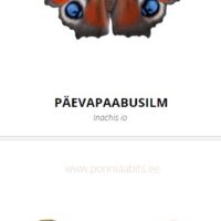 Tasuta õppekaardid - Liblikad - www.lapseheaks.ee
