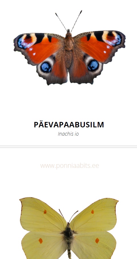 Tasuta õppekaardid - Liblikad - www.lapseheaks.ee