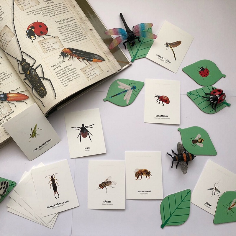 Tasuta õppekaardid - putukad - www.lapseheaks.ee