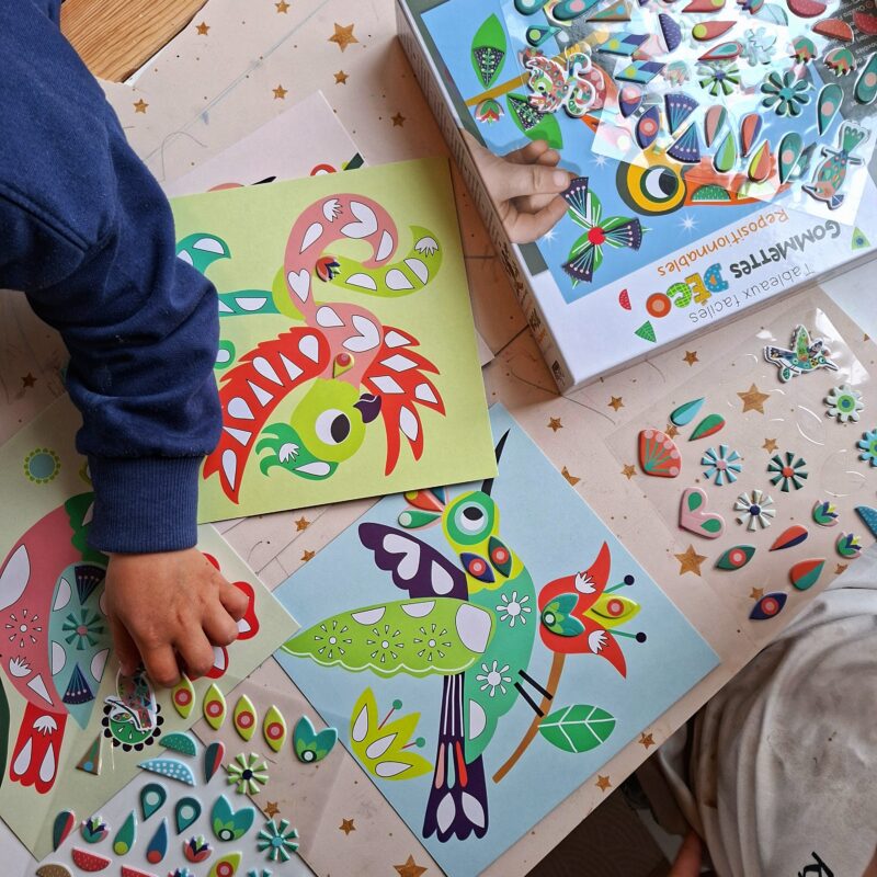 Créa Lign' paksude geomeetriliste kleepsudega meisterdamiskomplekt "Linnud"