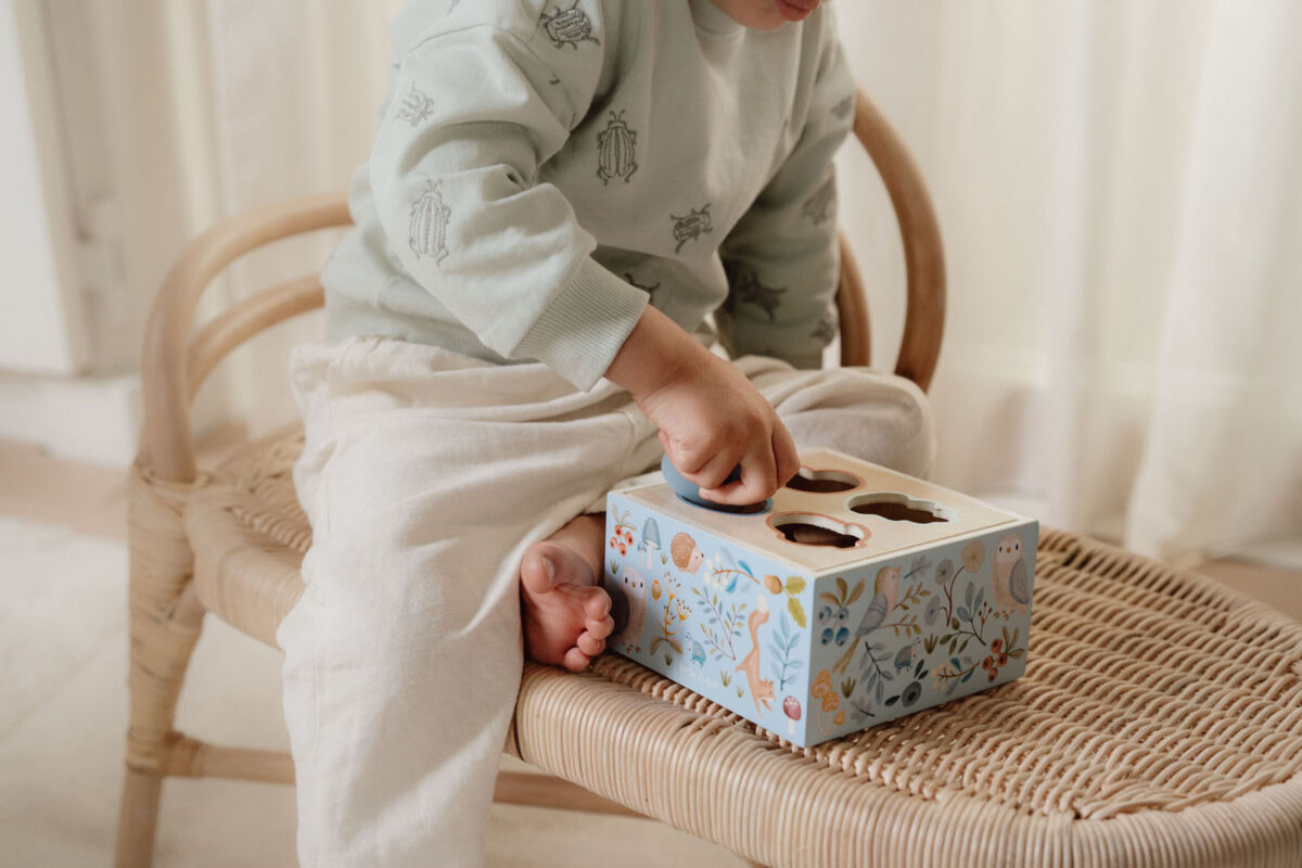 Little Dutch puidust sorteerimismäng beebidele ja väikelastele