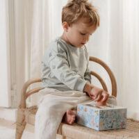 Little Dutch puidust sorteerimismäng beebidele ja väikelastele