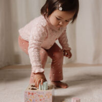 Little Dutch puidust sorteerimismäng beebidele ja väikelastele