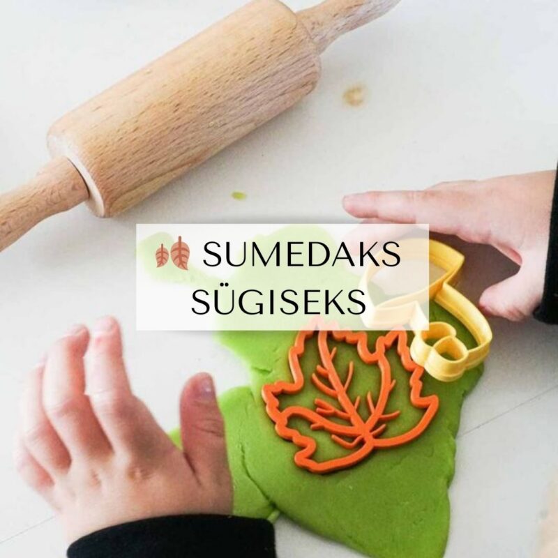 🍁 SUMEDAKS SÜGISEKS