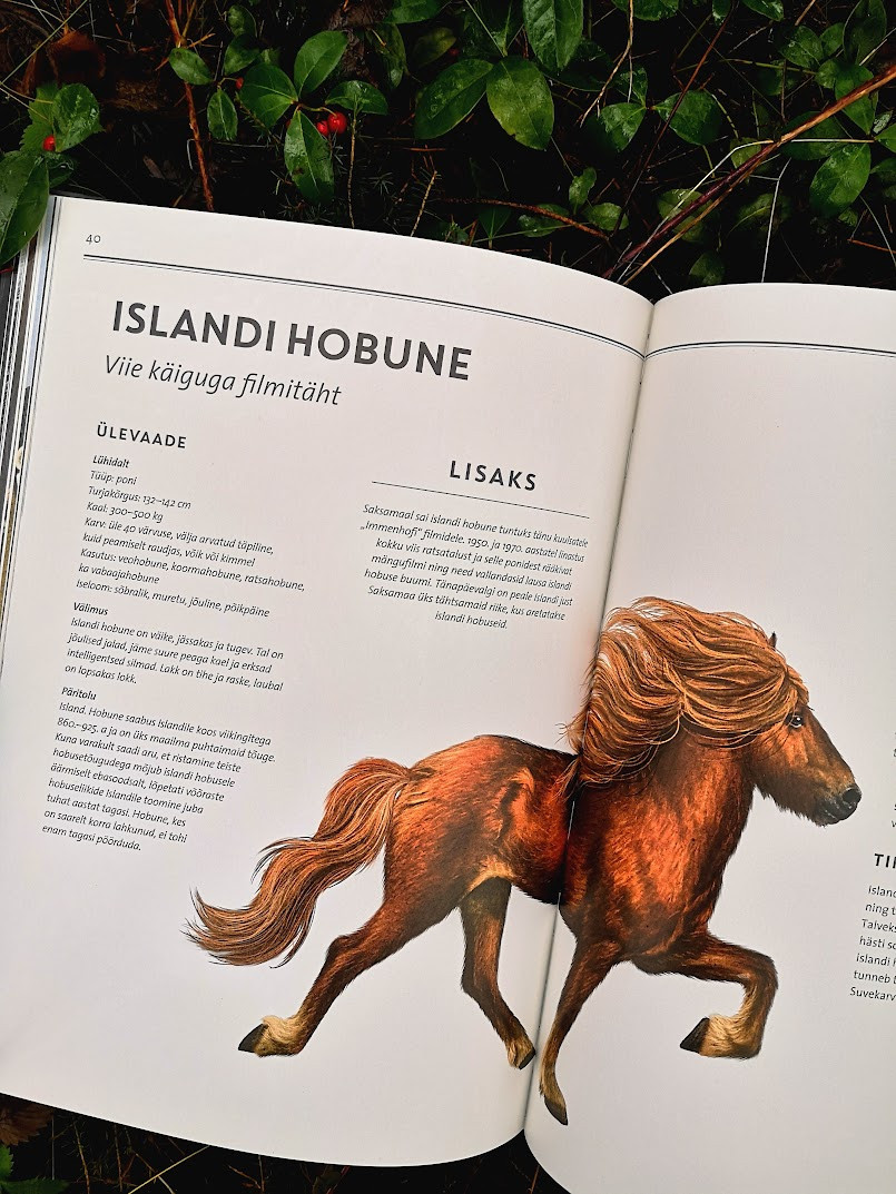 Raamat „Elutruud Loomad: Hobused“ – realistlikud fotod ja põnevad faktid hobusetõugude kohta.