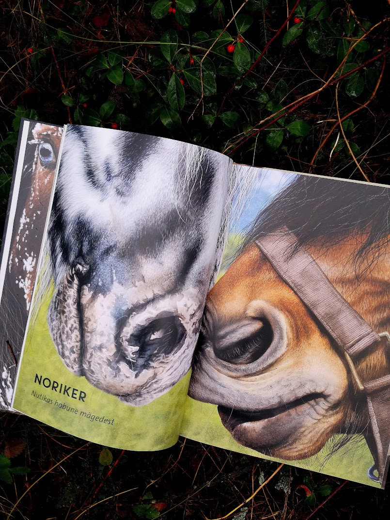 Raamat „Elutruud Loomad: Hobused“ – realistlikud fotod ja põnevad faktid hobusetõugude kohta.