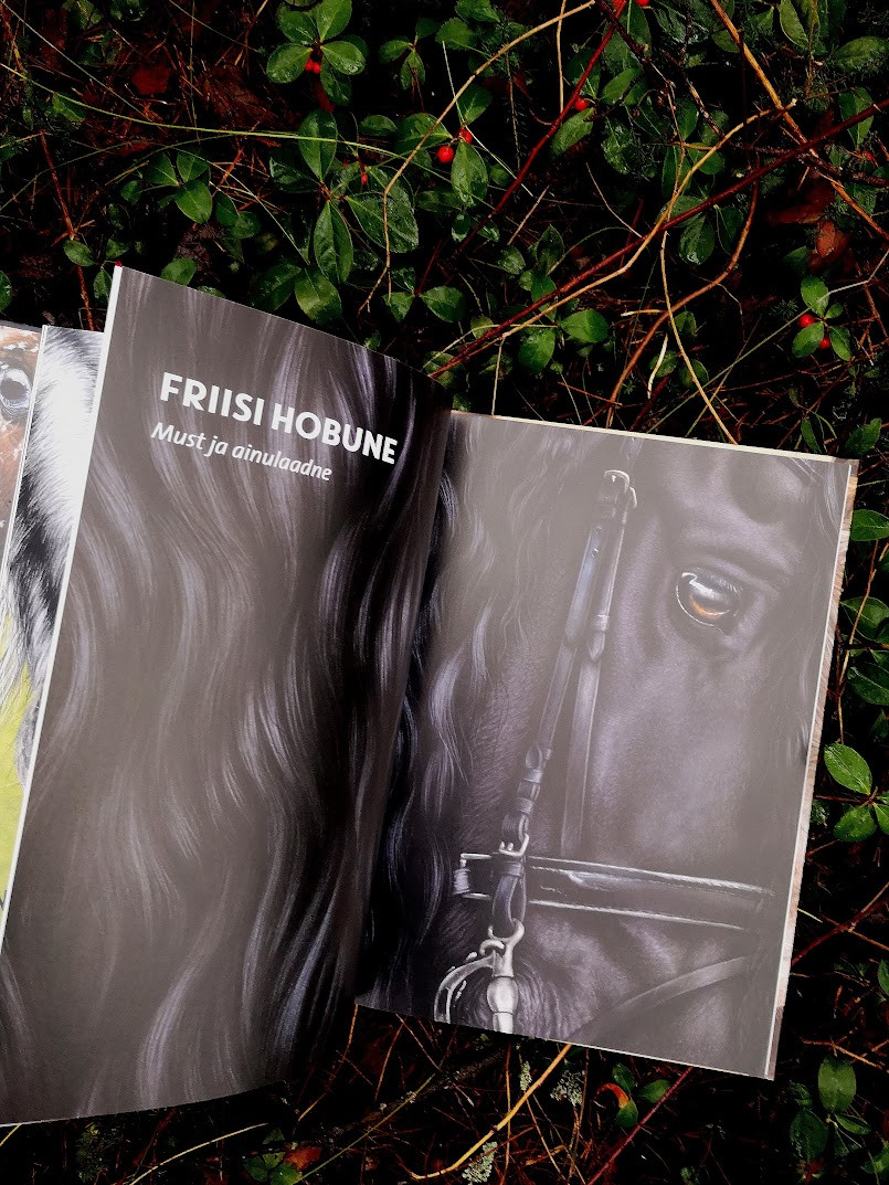 Raamat „Elutruud Loomad: Hobused“ – realistlikud fotod ja põnevad faktid hobusetõugude kohta.