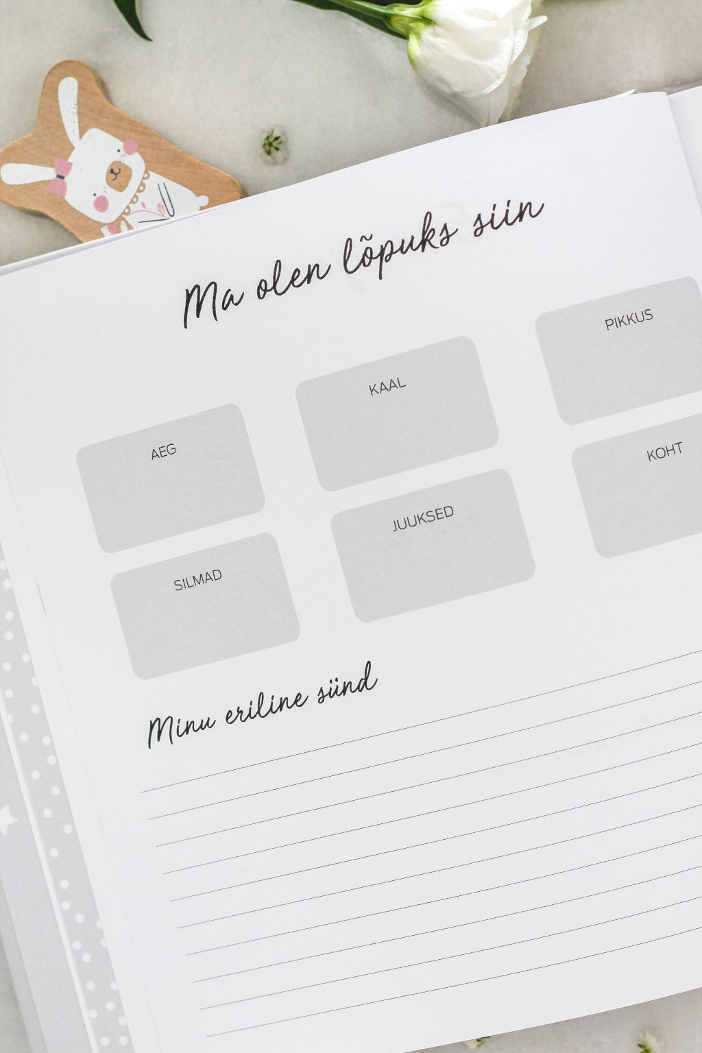 Beebiraamat „Minu Esimesed Aastad“ – täidetav mälestusteraamat lapse esimeste hetkede jäädvustamiseks