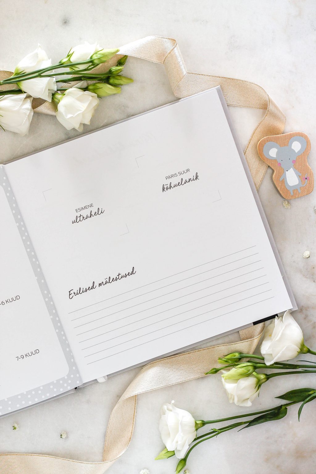 Beebiraamat „Minu Esimesed Aastad“ – täidetav mälestusteraamat lapse esimeste hetkede jäädvustamiseks