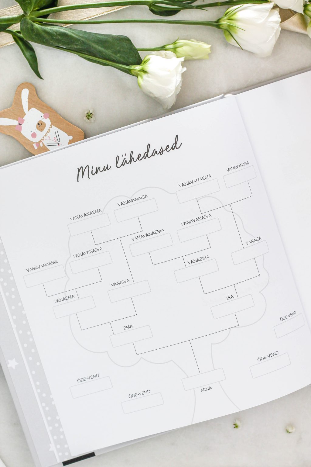 Beebiraamat „Minu Esimesed Aastad“ – täidetav mälestusteraamat lapse esimeste hetkede jäädvustamiseks