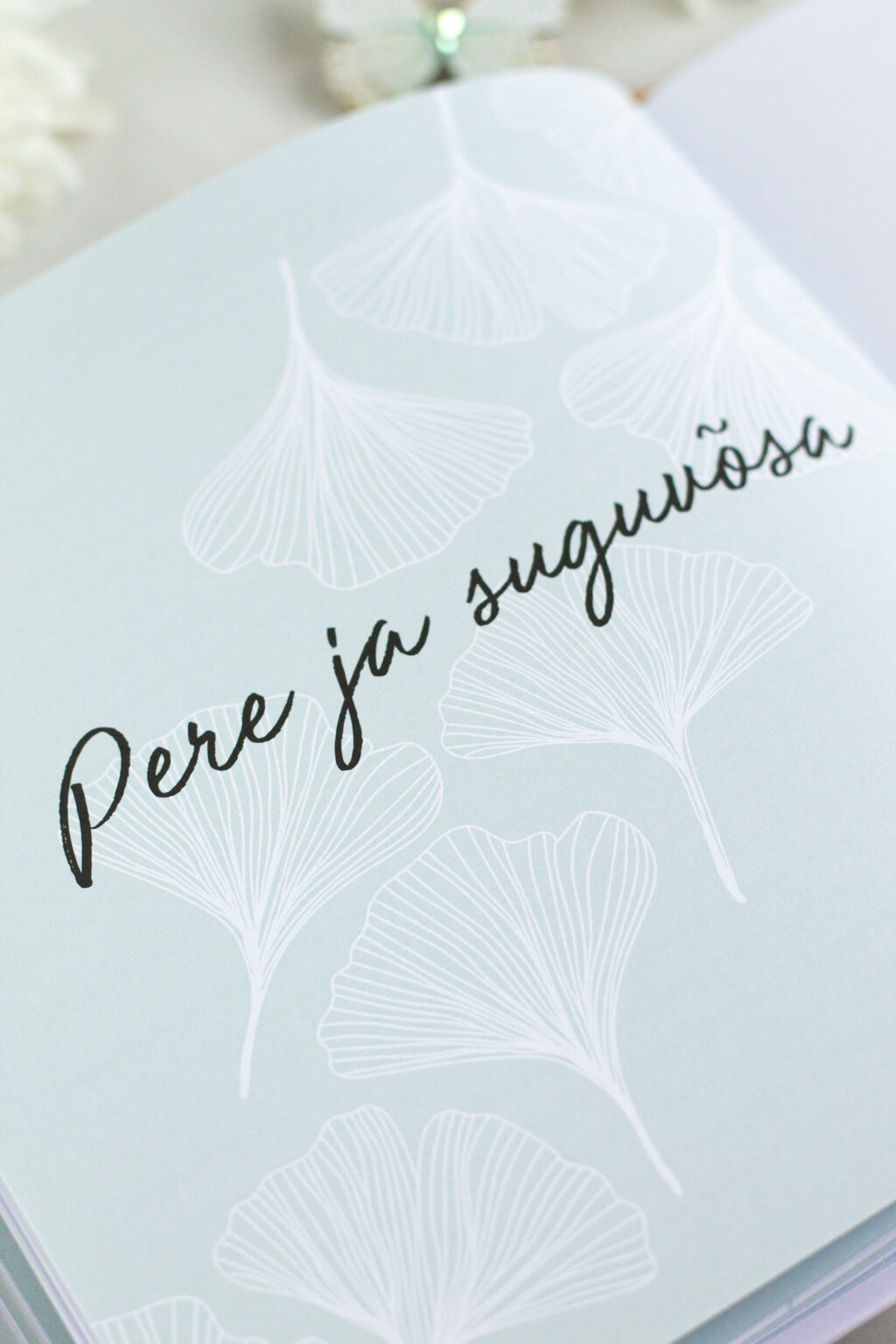 Mälestusteraamat üle 100 küsimusega vanavanema eluloo jäädvustamiseks - väärtuslik kingiidee vanaemale ja vanaisale