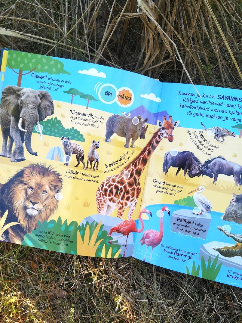 „Heliraamat „Kuula ja Õpi: Loomad Maailma Eri Paigust“ – interaktiivne pappraamat lastele.“ „Loomade häälitsustega raamat, mis aitab lastel õppida ja avastada maailma loomi.“ „Heliraamat küsimuste ja vastustega – hariv ja lõbus viis õppimiseks.“