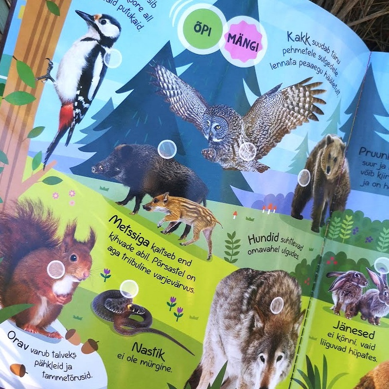 „Heliraamat „Kuula ja Õpi: Loomad Maailma Eri Paigust“ – interaktiivne pappraamat lastele.“ „Loomade häälitsustega raamat, mis aitab lastel õppida ja avastada maailma loomi.“ „Heliraamat küsimuste ja vastustega – hariv ja lõbus viis õppimiseks.“
