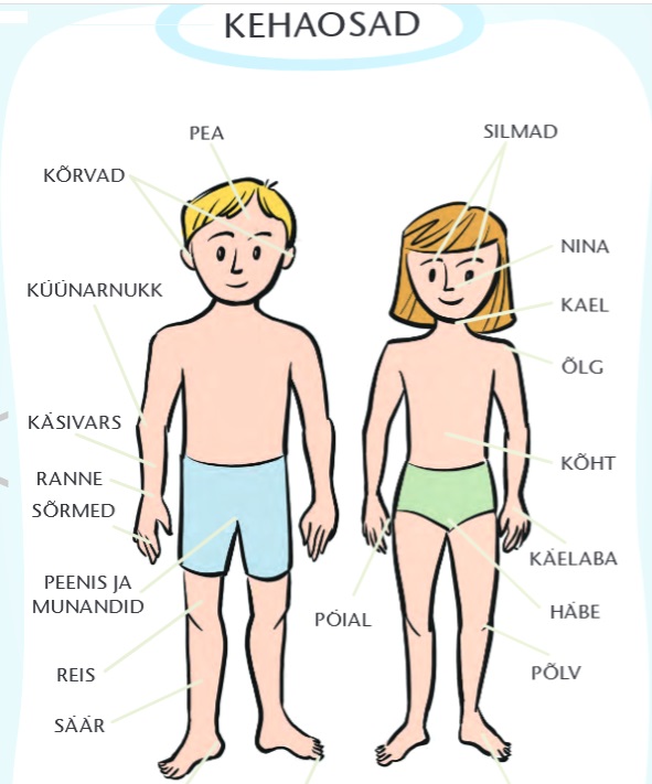 Tööraamat „Valmistume Kooliks: Terviseraamat. Tervis ja Ohutus“ – praktiline ja kaasahaarav õppevahend koolieelikutele.