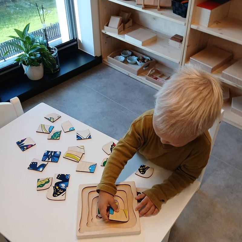 Montessori putukapusle “Liblikas” – puidust pusle putukate õppimiseks