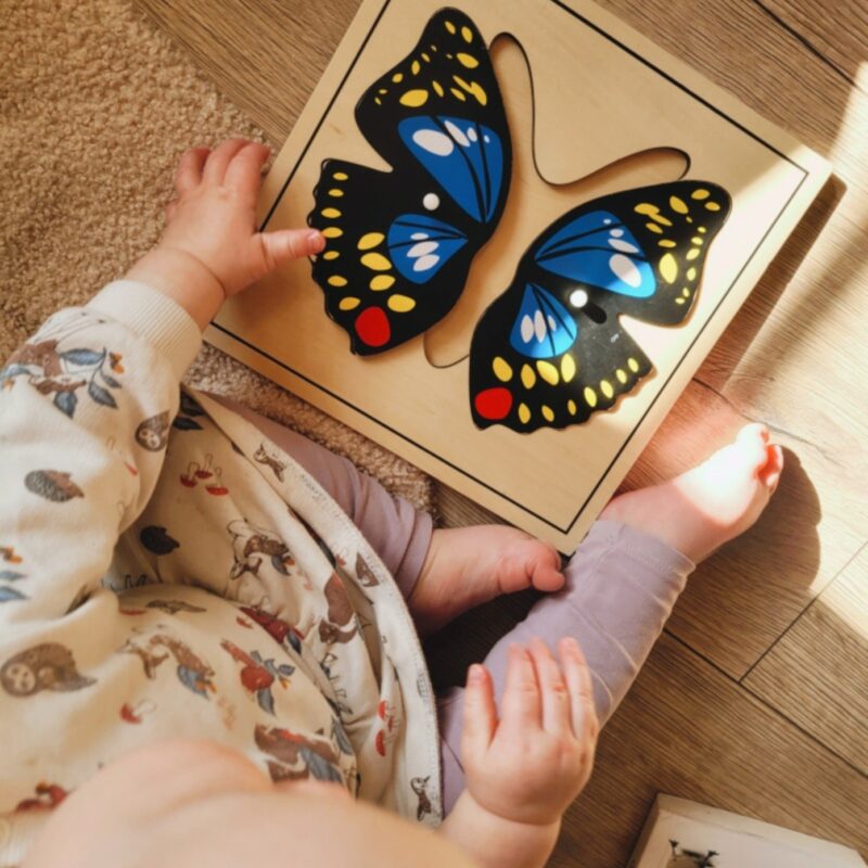 Nupupusle "Liblikas"