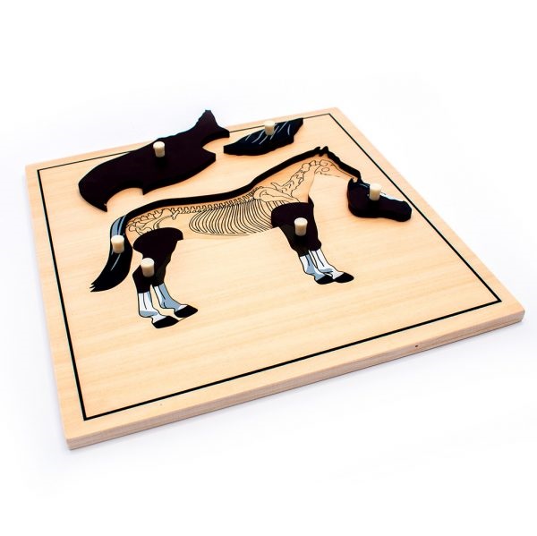 Montessori loomapusle “Hobune skeletiga” – puidust pusle loomade õppimiseks