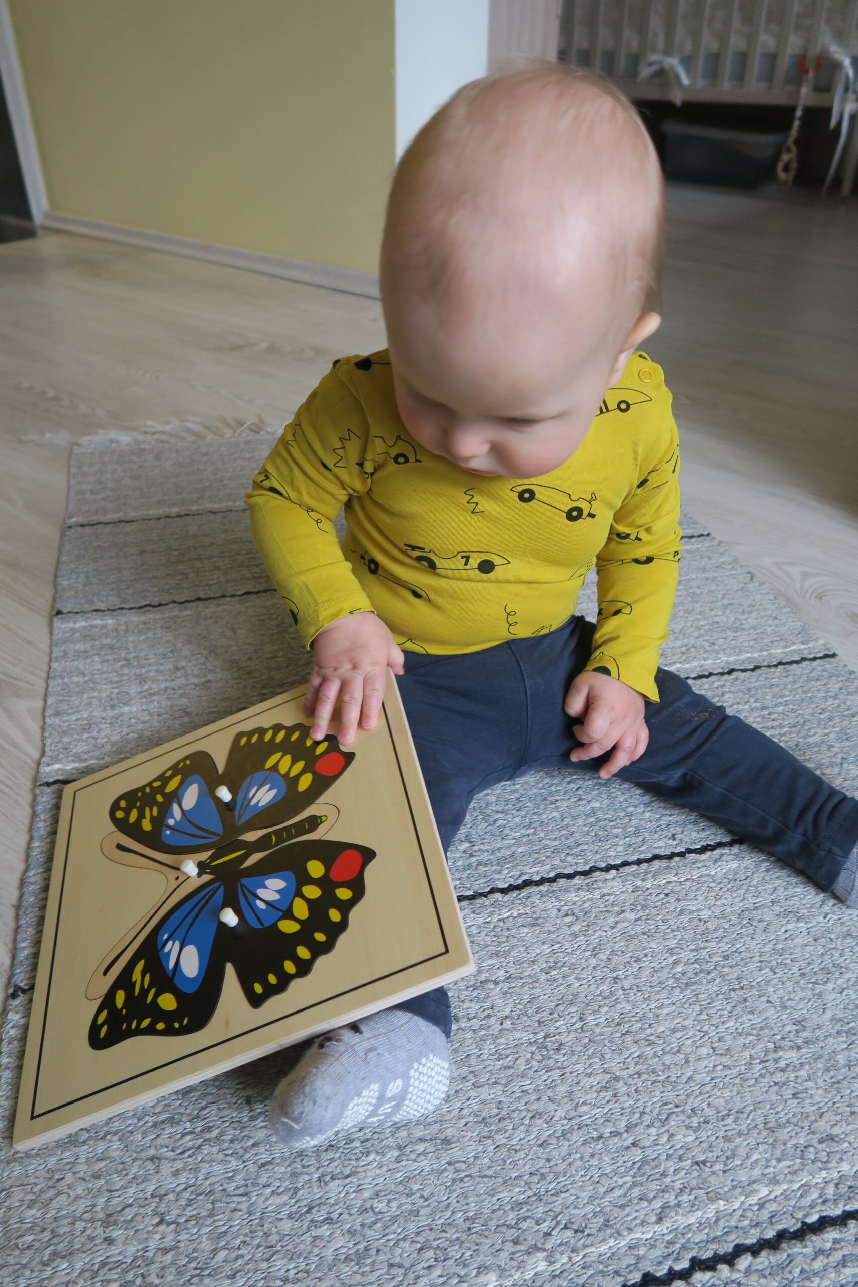 Montessori putukapusle “Liblikas” – puidust pusle putukate õppimiseks