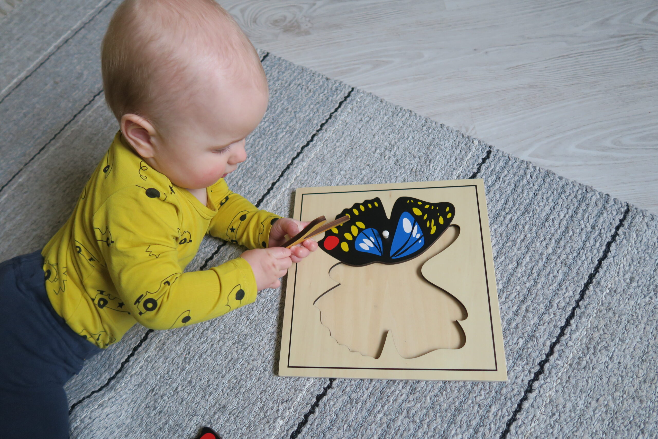Montessori putukapusle “Liblikas” – puidust pusle putukate õppimiseks