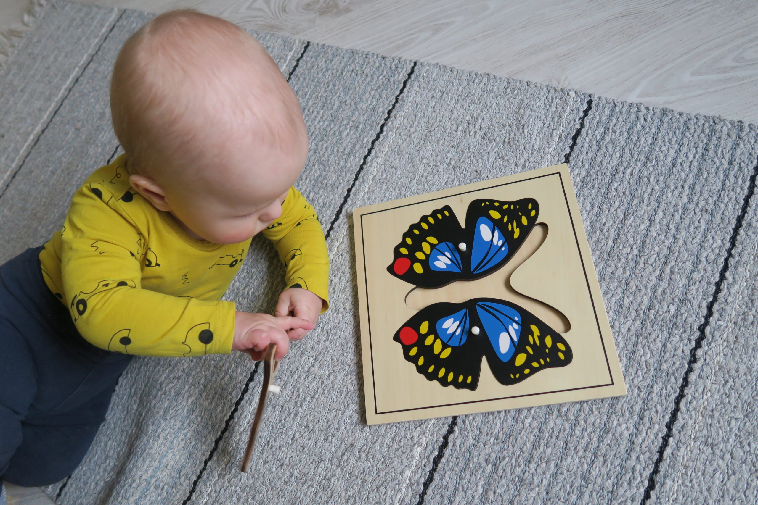 Montessori putukapusle “Liblikas” – puidust pusle putukate õppimiseks