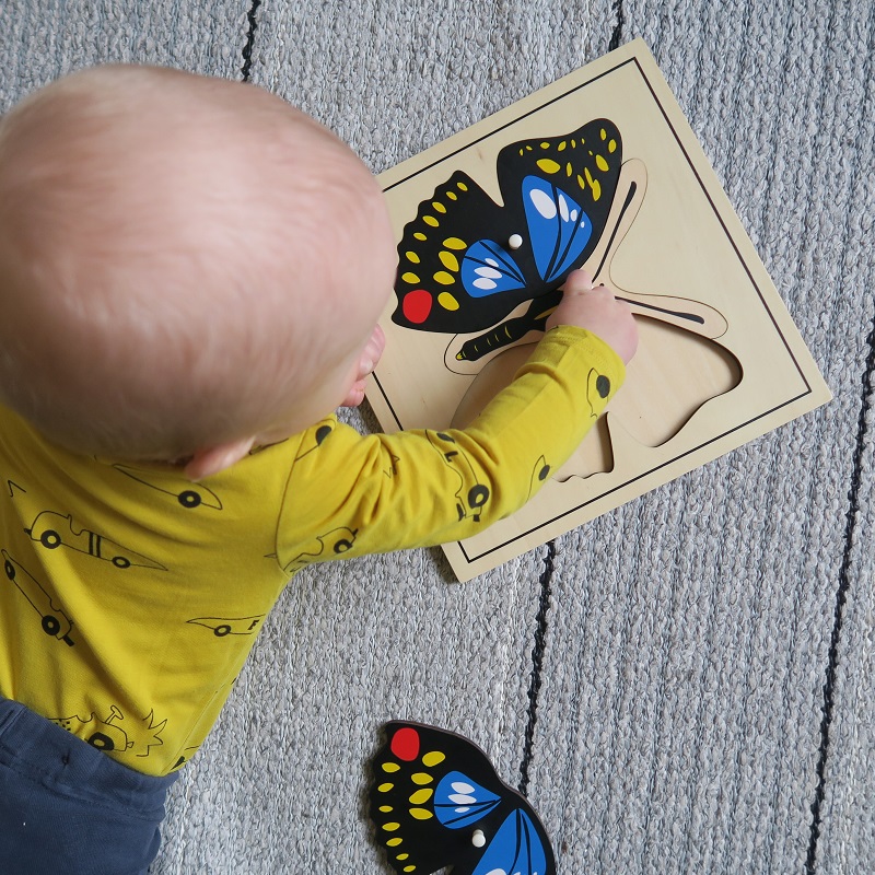 Montessori putukapusle “Liblikas” – puidust pusle putukate õppimiseks