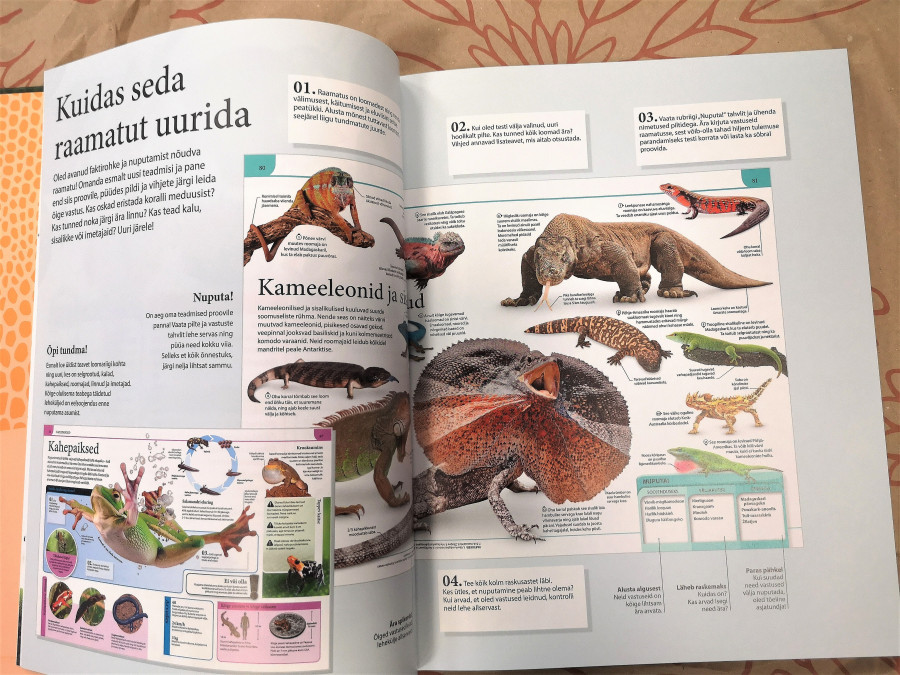 Raamat „Loomade entsüklopeedia“ kõvade kaantega Illustratsiooniderohke entsüklopeedia loomariigist