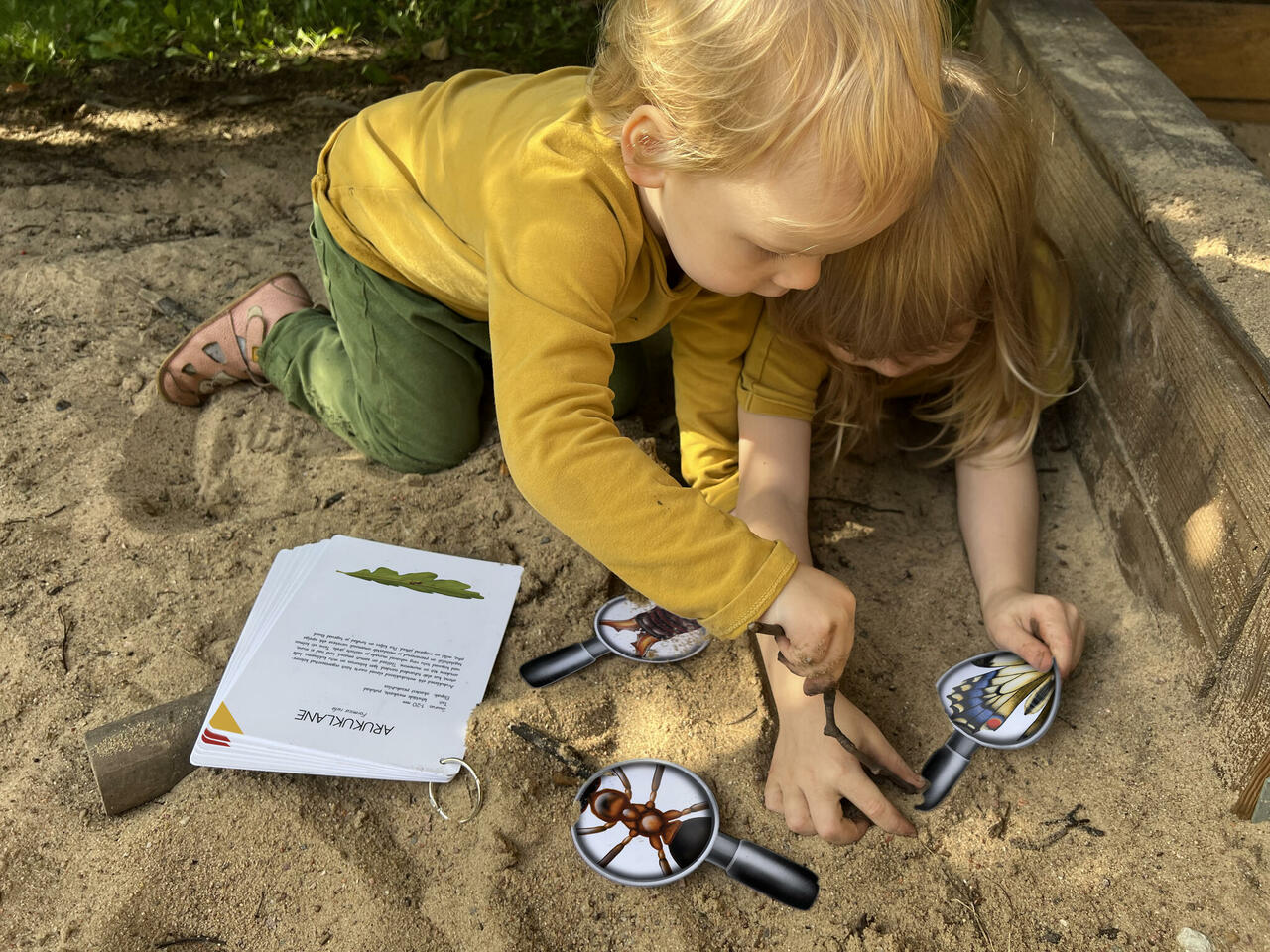 Putukakaardid „Avastan. Õpin. Oskan“ – Eesti putukaliikide õppekaardid