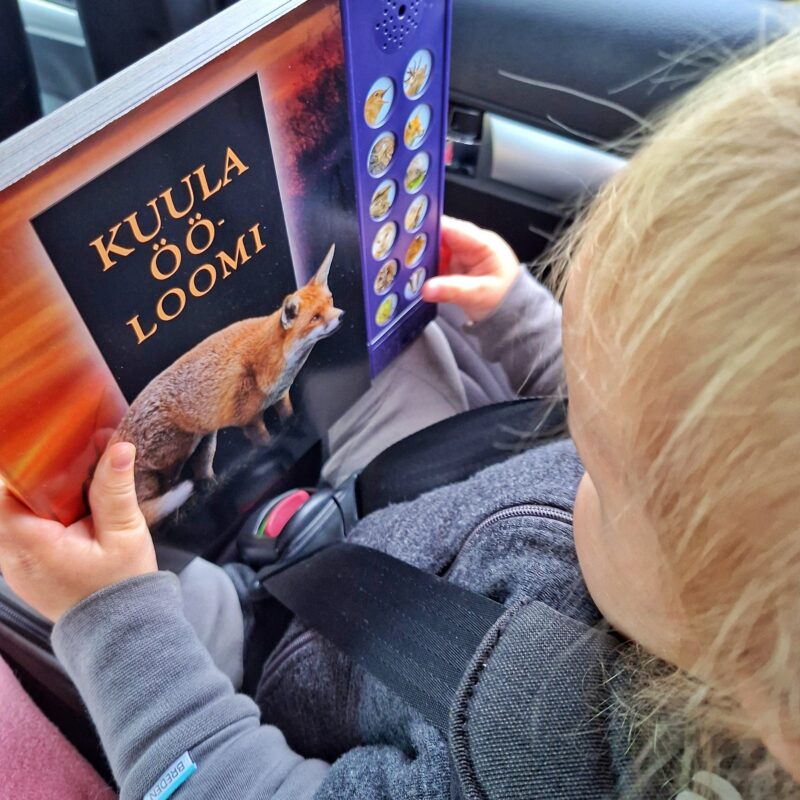 Realistlike helide ja fotodega raamat "Kuula ööloomi"