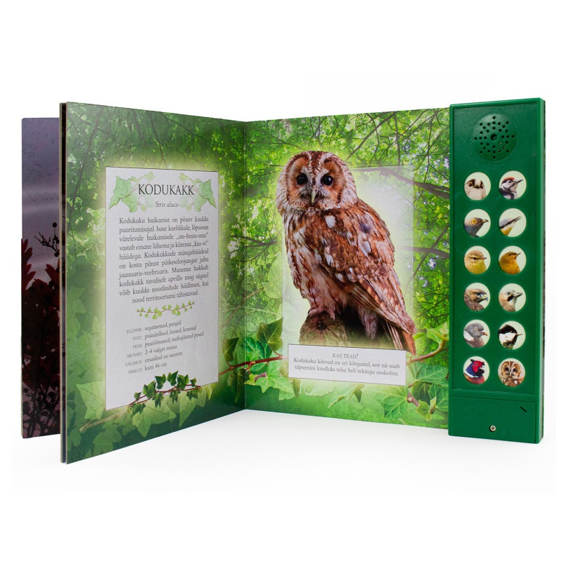 Heliraamat "Kuula metsalinde" – 12 ehtsat linnuhäält Realistlike helide ja fotodega laste raamat metsalindudest
