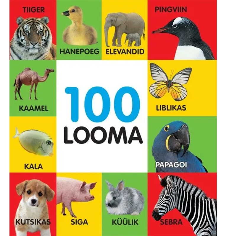 100 looma papiraamat lastele