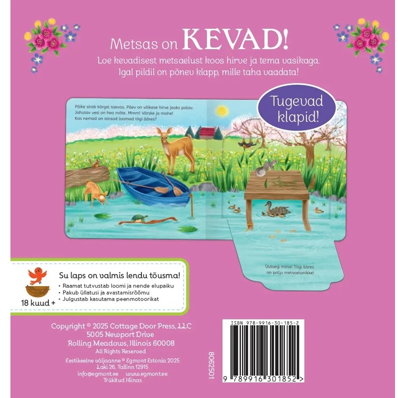 Uuri ja avasta kevad metsas lasteraamat Kevad looduses raamat lastele mets ja looma
