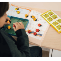 SmartGames Nuputriinid loogikamäng kaasaskantavas karbis SmartGames Nuputriinid loogikamäng kaasaskantavas karbis