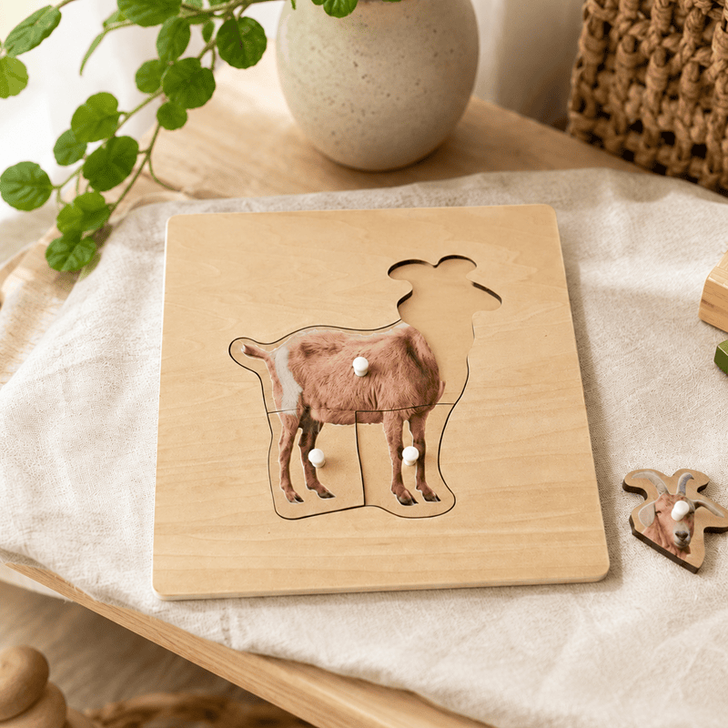 Montessori pedagoogika realistlik nupupusle puidust