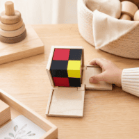Montessori Algebraic Binomial Cube puidust binoomkuup lapsele