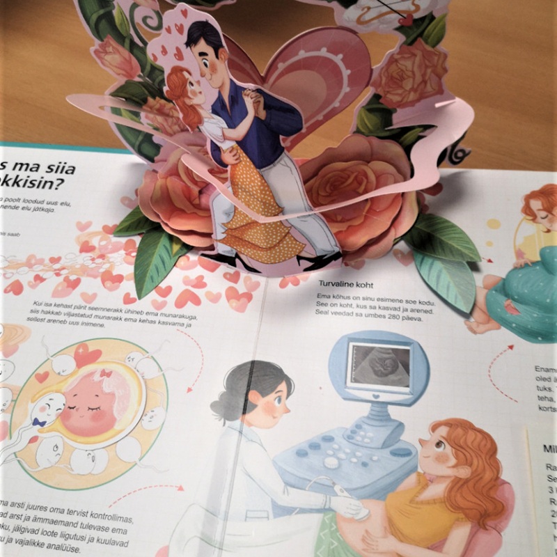 Laste teadmisteraamat inimese kehast liikuvate osadega Minu keha raamat luude lihaste südame seedimise ja meelte õppimiseks