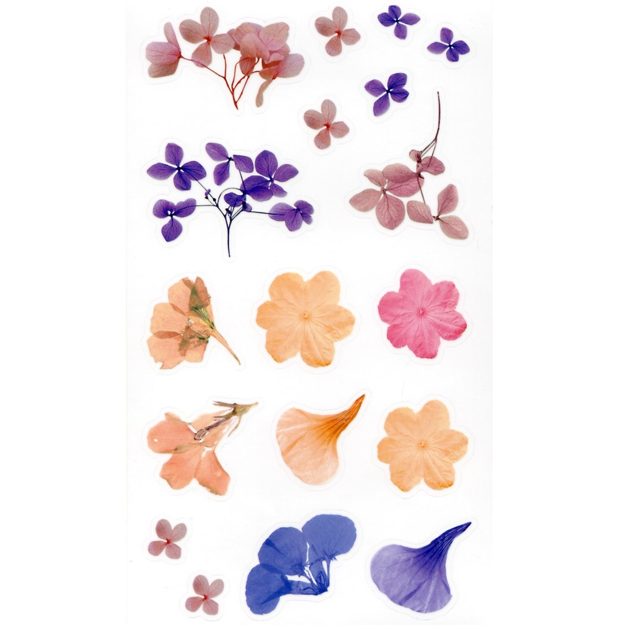 Botaanilised kleebised märkmikusse ja scrapbookinguks kleepsud ja kleepekad realistlike lillede ja okstega