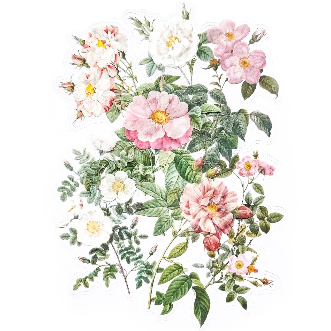 Botaanilised kleebised märkmikusse ja scrapbookinguks kleepsud ja kleepekad realistlike lillede ja okstega