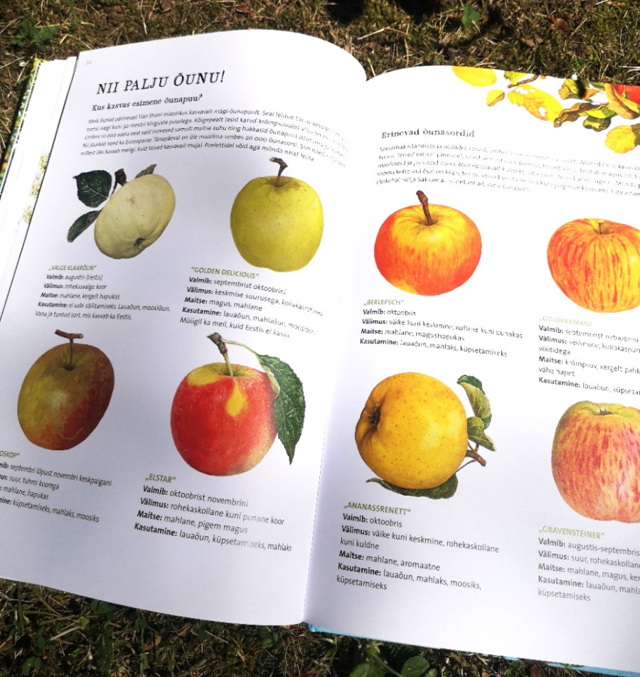 Looduse raamat lastele – õunapuu kasv ja aastaaegade muutus