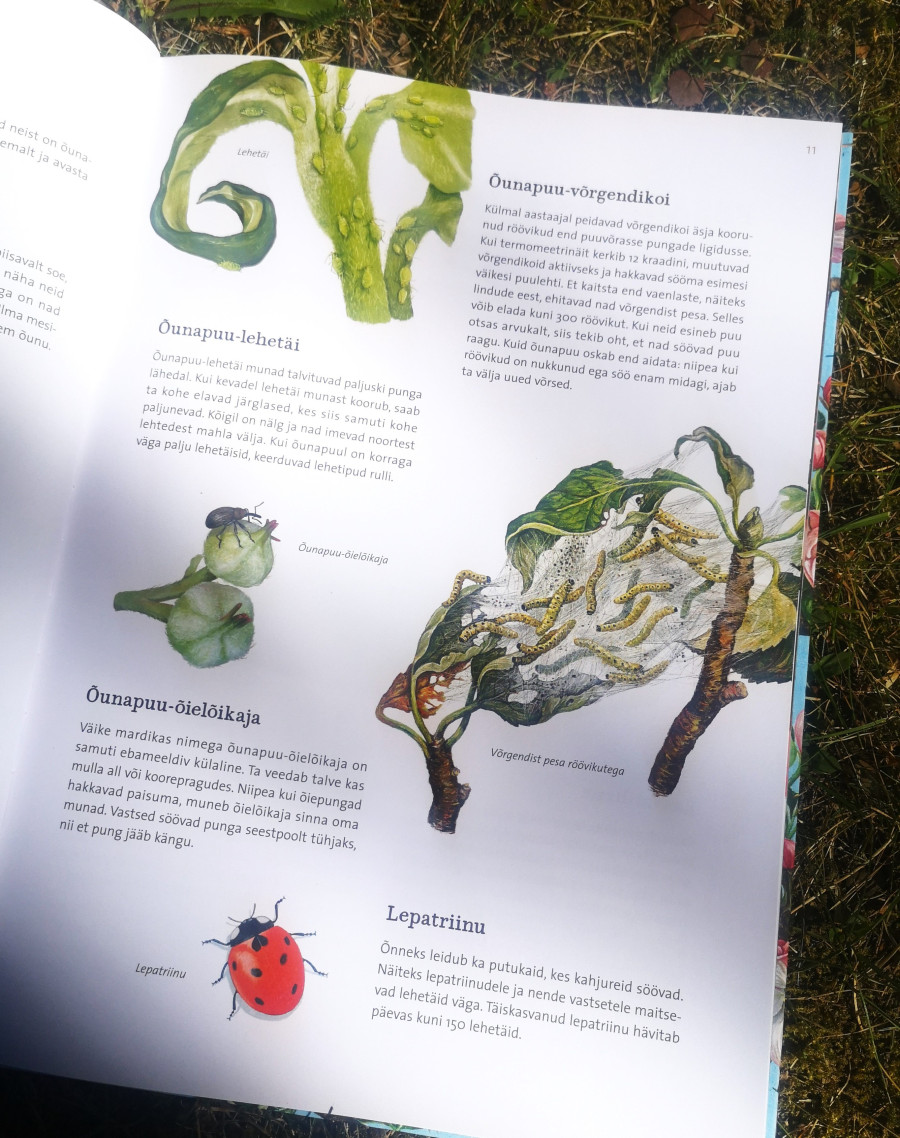 Looduse raamat lastele – õunapuu kasv ja aastaaegade muutus