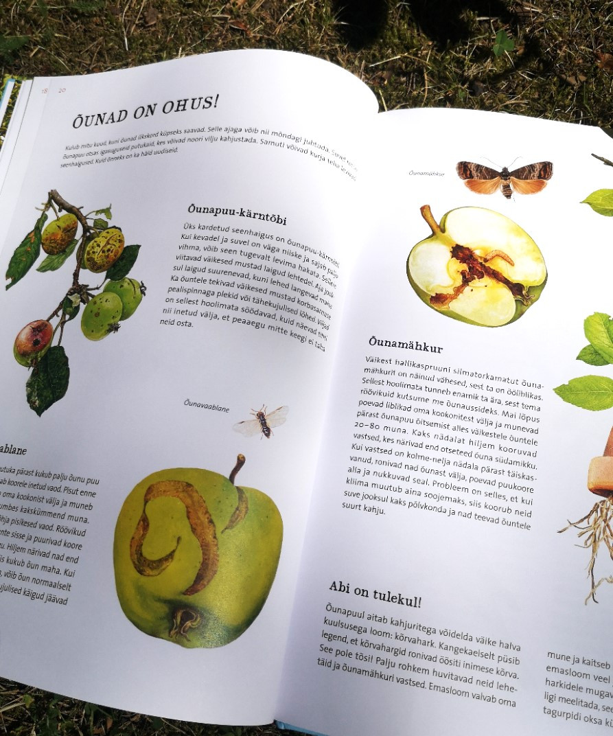 Looduse raamat lastele – õunapuu kasv ja aastaaegade muutus