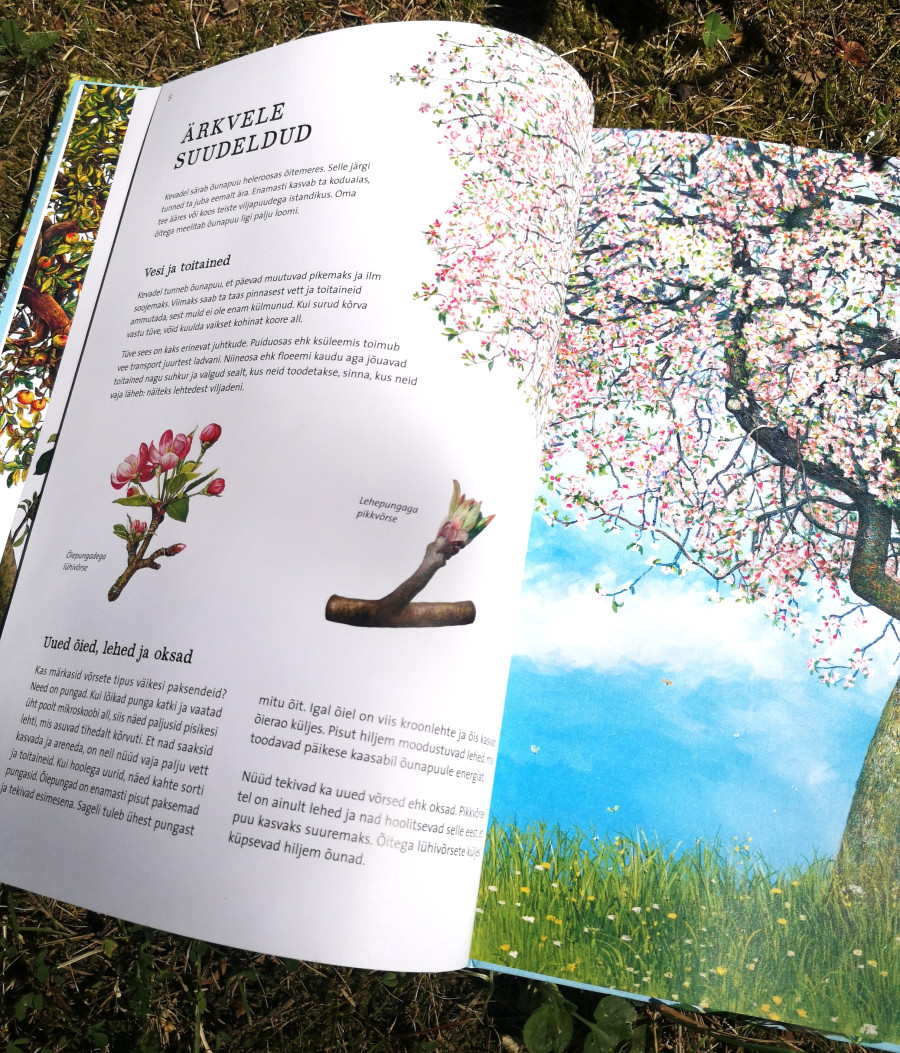 Looduse raamat lastele – õunapuu kasv ja aastaaegade muutus