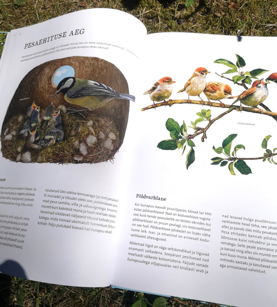 Looduse raamat lastele – õunapuu kasv ja aastaaegade muutus