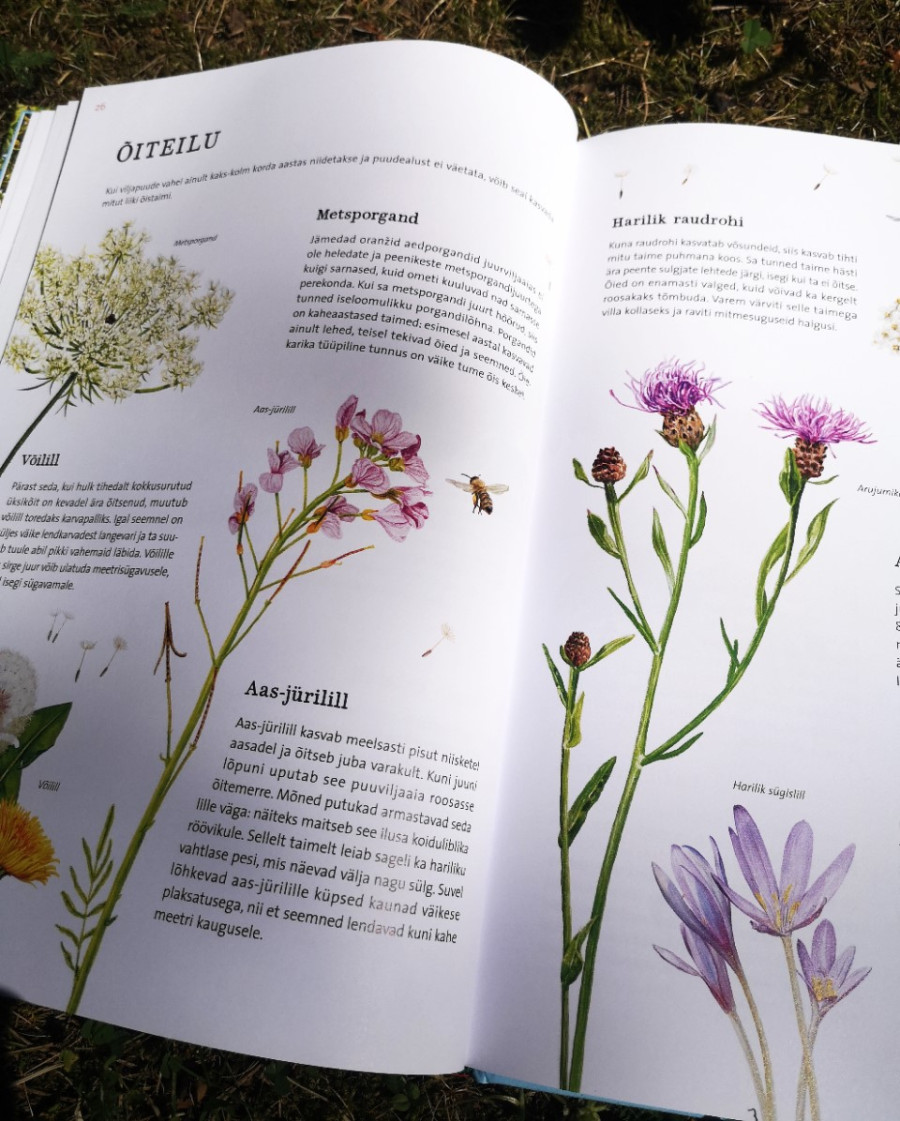 Looduse raamat lastele – õunapuu kasv ja aastaaegade muutus