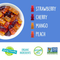YumEarth mahedad kummikarud nelja puuviljamaitsega Mahedad vegan YumEarth mahedad kummikarud nelja puuviljamaitsega Mahedad vegan