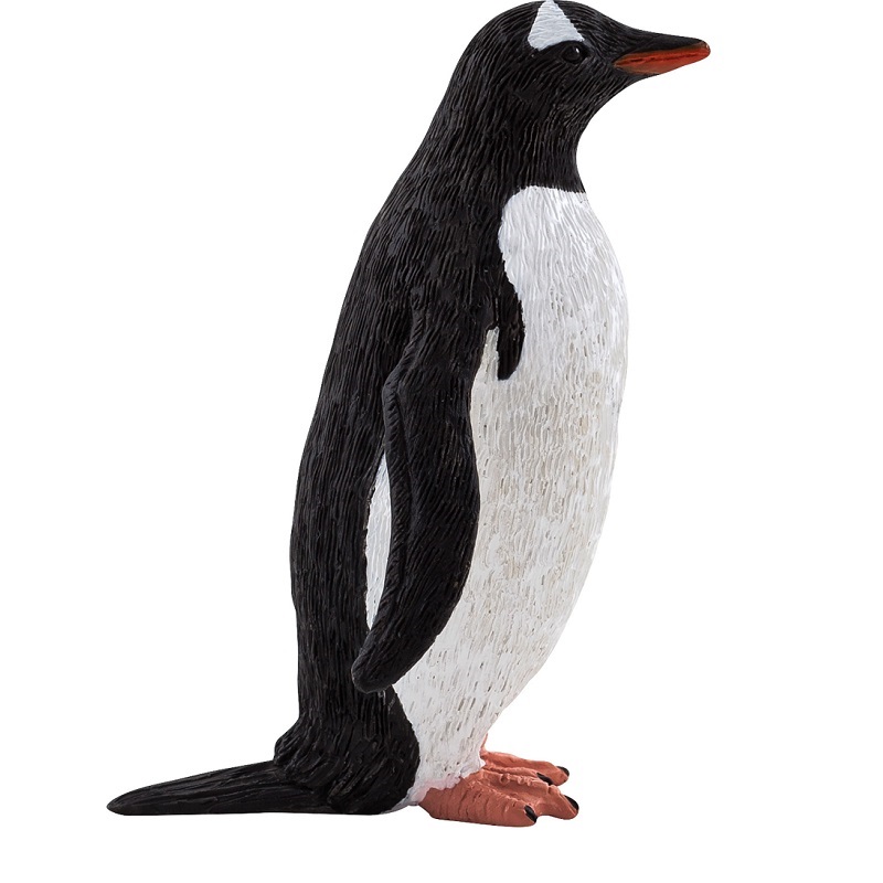 Gentoo pingviin