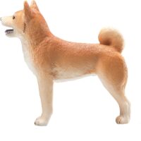Shiba inu koer1