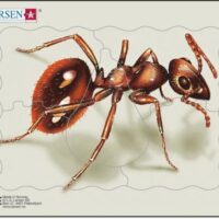 Sipelgas – Z2