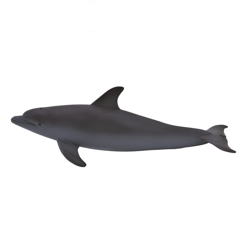 delfiin