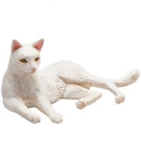 valge kass
