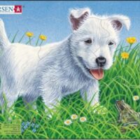 valge koer- M13